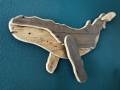 [Foto] Humpback HWN001 (2)