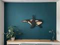 [Foto] Orca OBN001 (1)