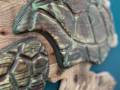 [Foto] Turtle TCN001 (2)