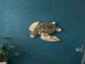 [Foto] Turtle TCN001 (7)