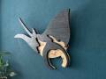 [Foto] Manta Ray MBN001 (3)
