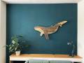 [Foto] Humpback HWN001 (6)