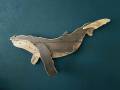 [Foto] Humpback HWN001 (5)