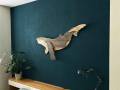[Foto] Humpback HWN001 (4)