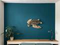 [Foto] Turtle TCN001 (1)